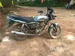 Paltina 125 bechna h
