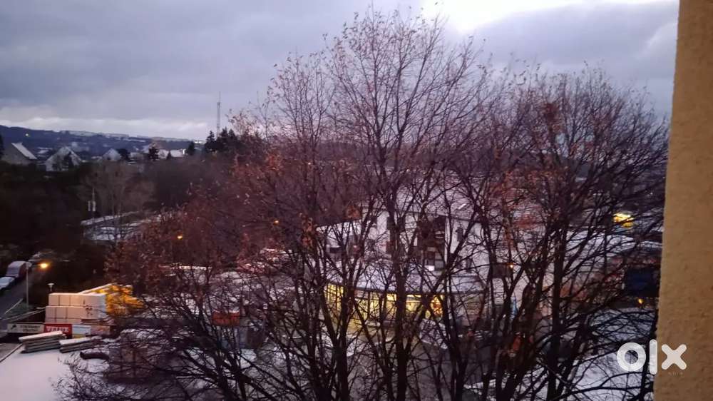 Need commis with good skills