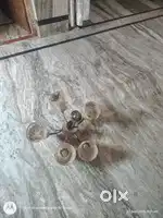 Sell urgent silling lamp in low cost