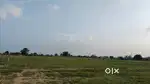 Your dream investment