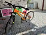 Phoenix 22 inch , 7 gear cycle