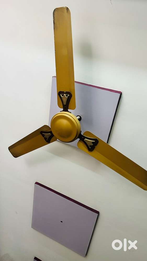 Ceiling Fans