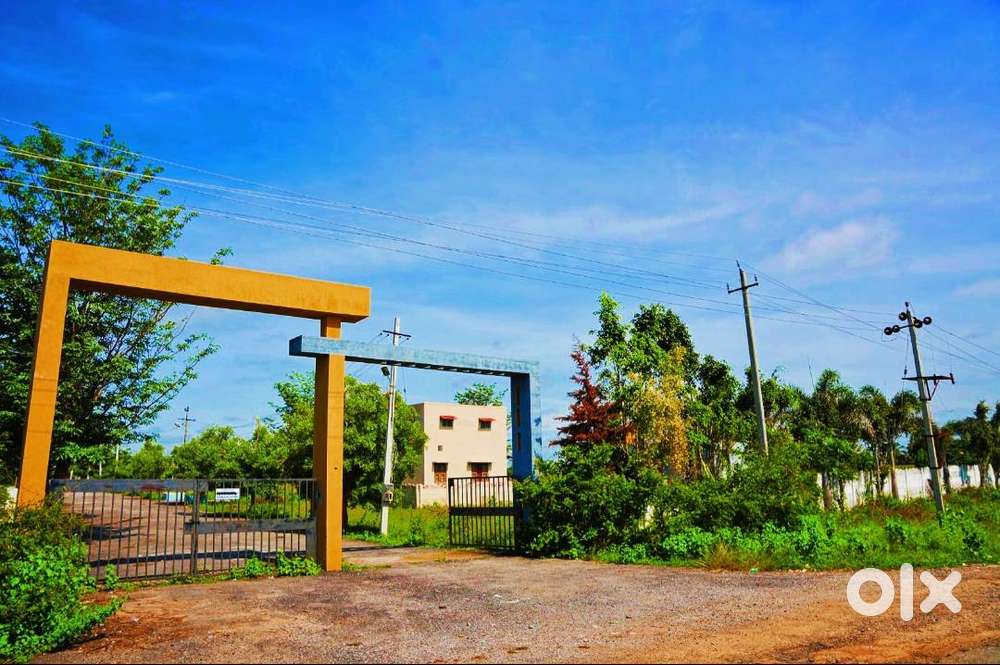 Own a Plot Today at Lowest Price