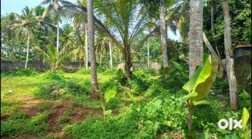 33 cent plot for sale near thiruvallam kovalam bypass