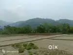 Residential plot