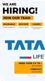 Team leader & insurance planer