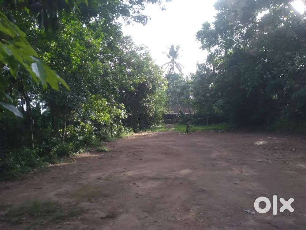 Land for sale in Mavinchuvadu