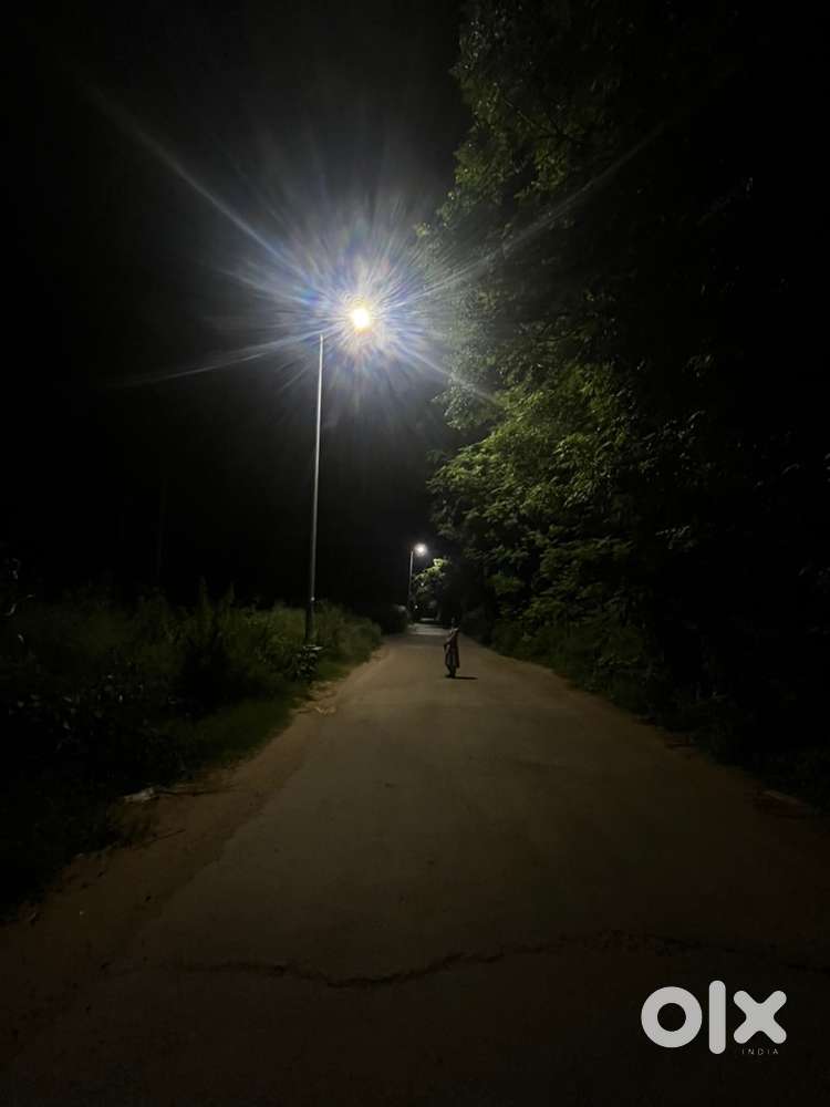 Helper for dairy farm