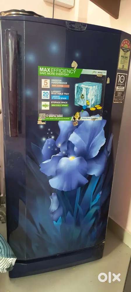 Godrej 192L 4 Star Inverter Single Door Refrigerator–Aqua Blue Floral