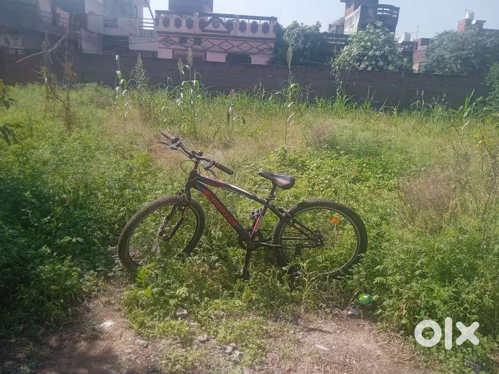 cycle with disc brakes