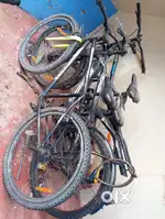 Cultsport or Helculus Cycle