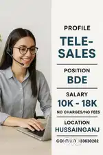 BDE (Tele-Sales)