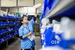 FRESHER'S HIRING FOR WAREHOUSE JOB