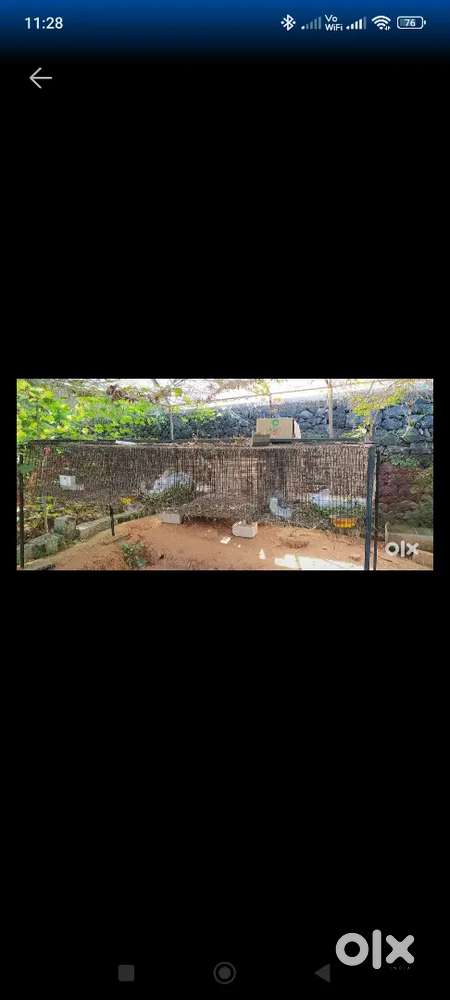 Rabbit cage for sale