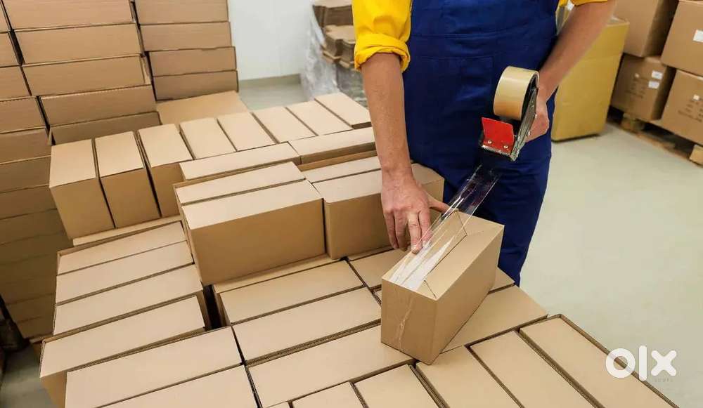 Packing scaner job werhouse