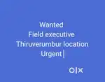 Field executive