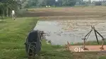 Low Budget Residential Plots minimum 990 sqft plot in pipari Hardoi