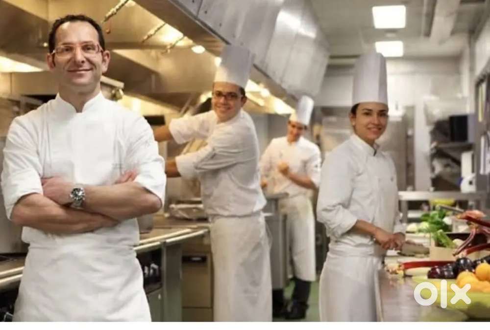 Cook and chefs required