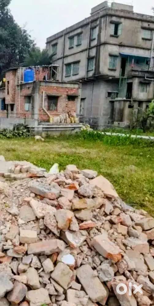 Plot Sale, Station 2.mint