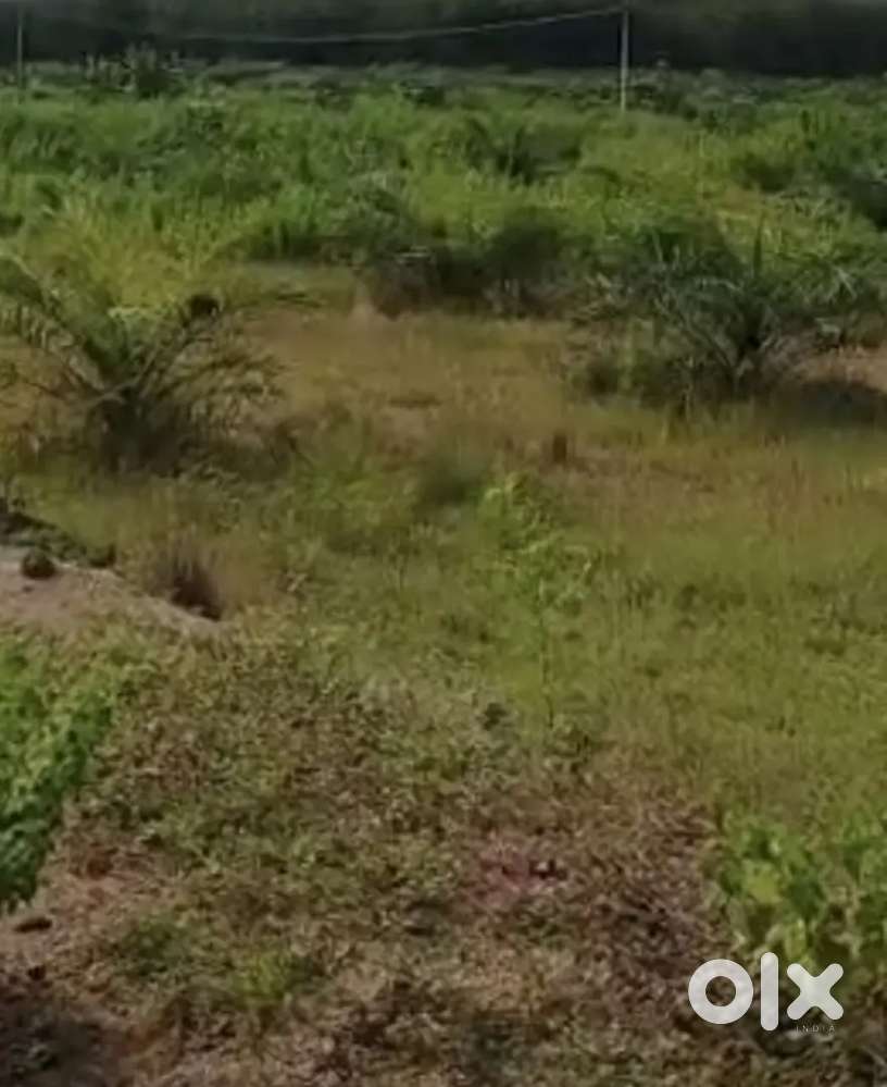 8 acres agriculture land for sale at gundampalli korutla