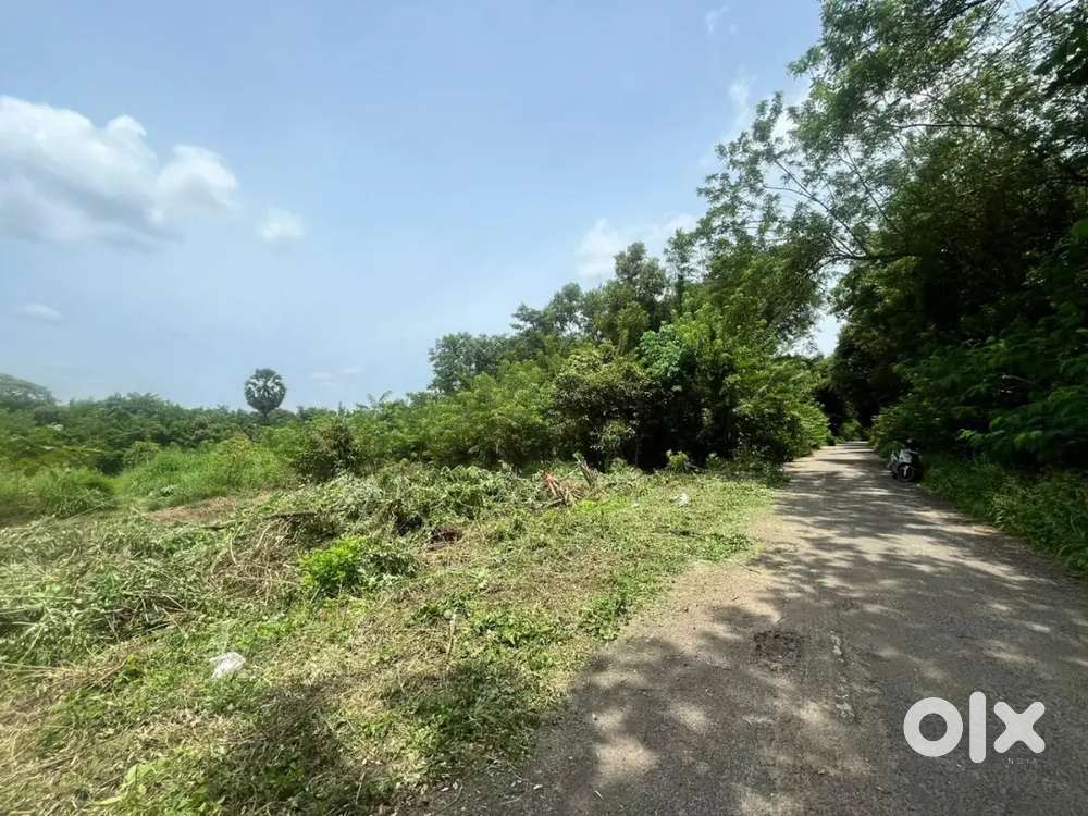 Kannadi - Palakkad- 9  cents for sale