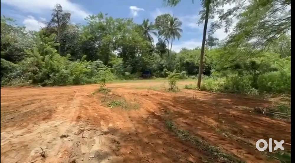 50 cent plot for sale (low price)