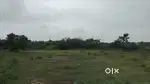 2.27 Acres Agriculture land for sale,Clear Road,Negotiable Price