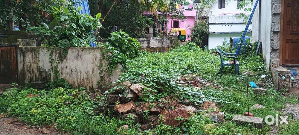 Near kims and medical college