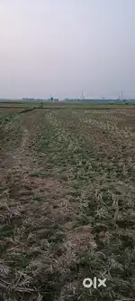 Land Sell for Plot  4 Bigha ( 1.68 Acor) North Faceing Midnapore Town