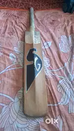 Cricket kit