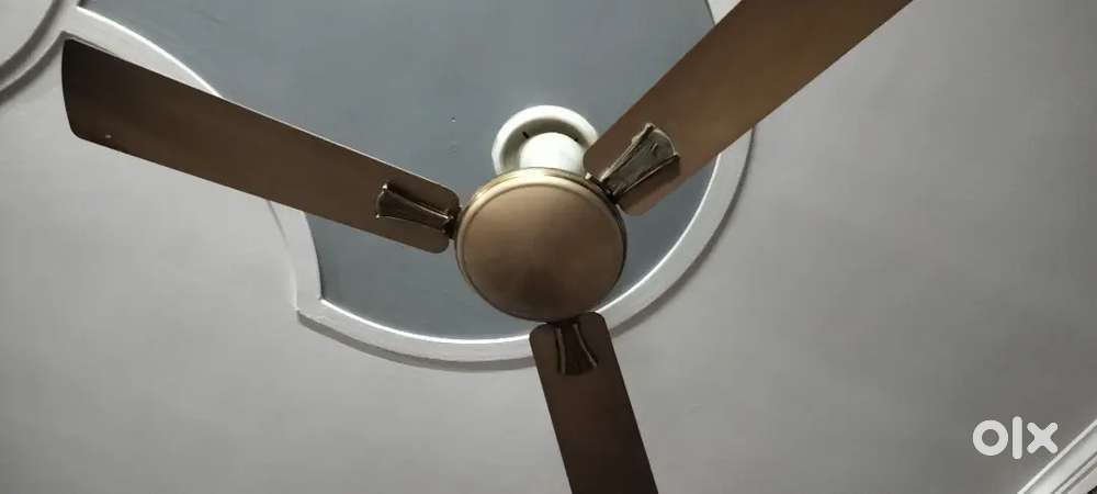 Fan Roof 04 QTY