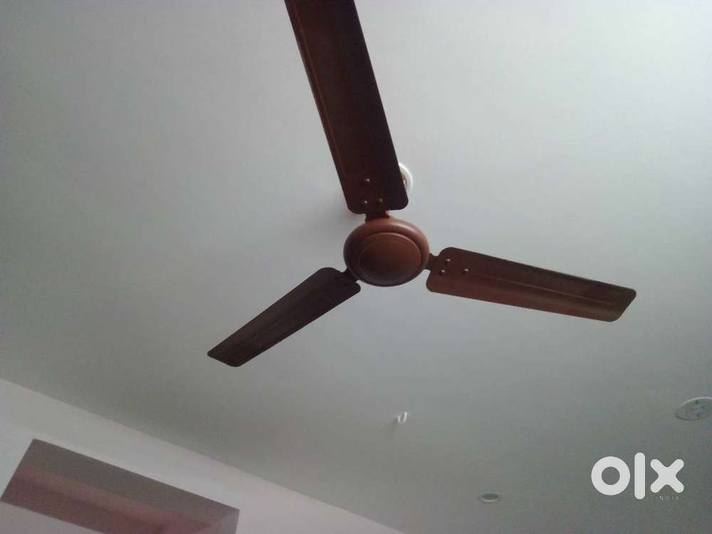 2BHKD FOR RENT IN GANAPATHY-NEAR PROZONE PRIME LOCATION