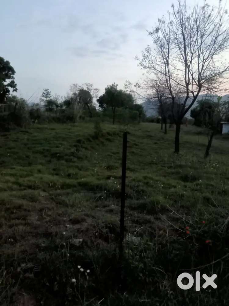Land for rent