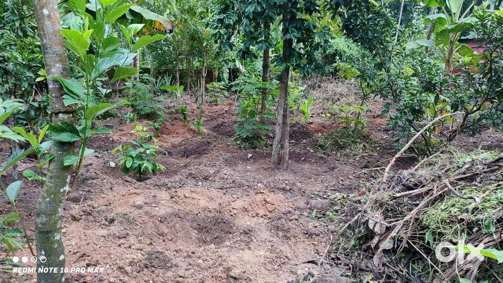 6 സെൻ്റ് വസ്തു വില്പനക്ക്