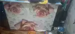 Dylan Counter hai ACH ha hai