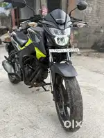 Honda hornet