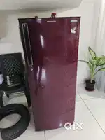 Electroluous refrigerator