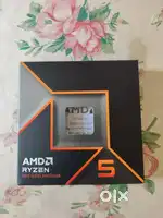 Ryzen 5 9600x Processor