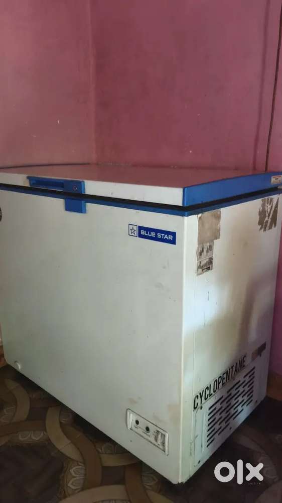 Blue star compressor fridge