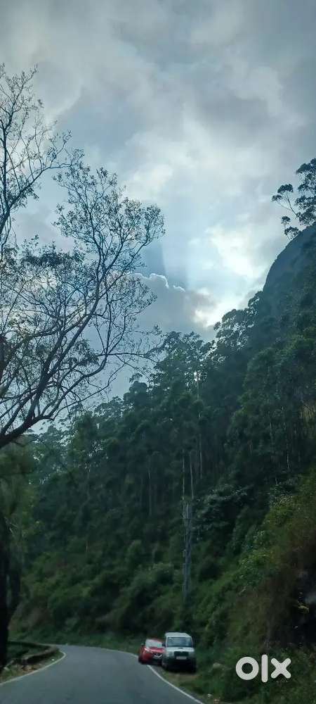 Lease/ rent house for office