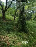 Land for selling