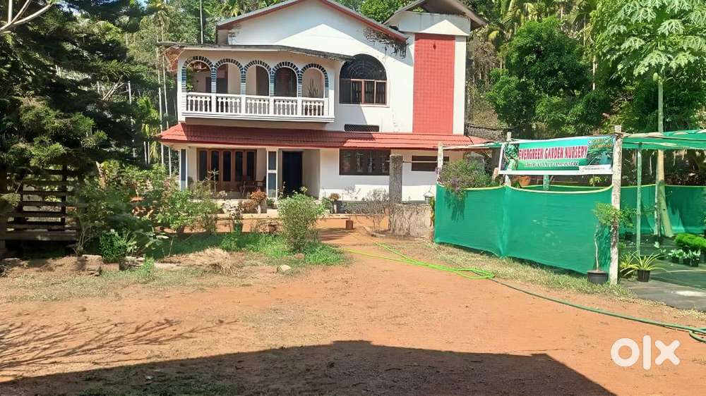 P-01134: House And Plot For Sale In Thaliparamba, Kannur