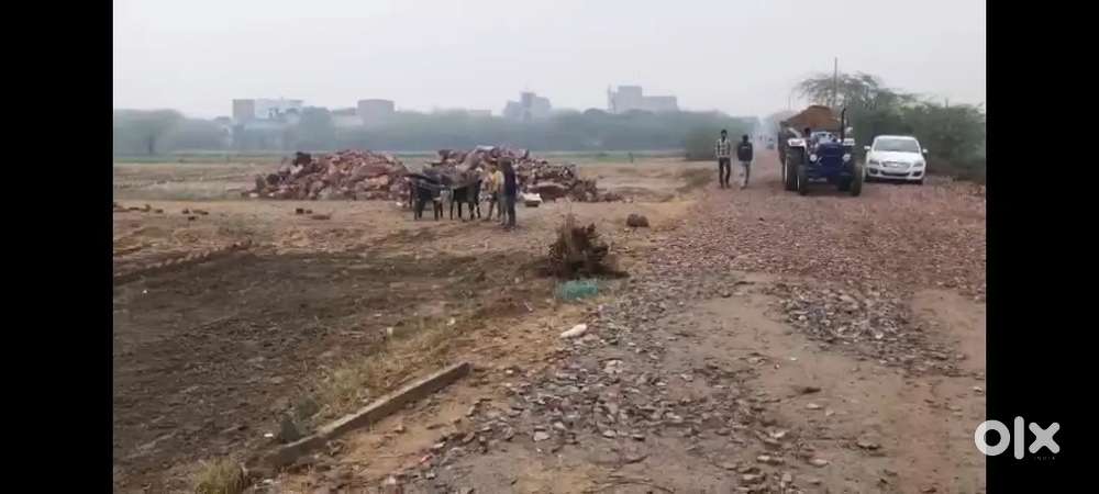 Sona near I M T plot