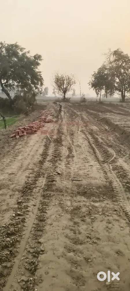 Residential and commercial Plot