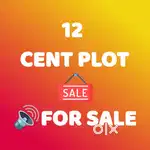 12 cent plot for sale 400 mtr from NH Aluva