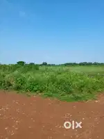 investment plot low cost budget khorda colkector office
