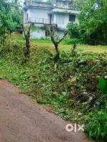 MUNDUR 15 CENT PLOT FOR SALE