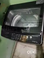 Lloyd 10 kg