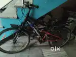 Best cycle