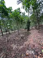 Land for Sale (Road Frontage) at Chamampathal , Vazhoor, Kottayam Dist
